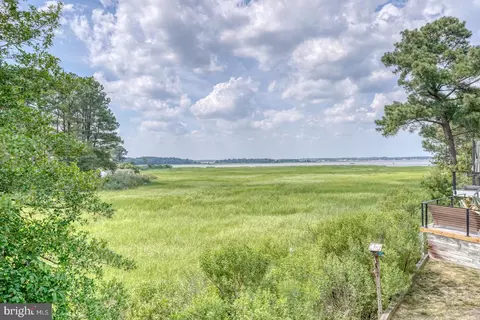 View/Area - 316 Baywinds Ct, Dagsboro, DE 19939 photo 12 of 17