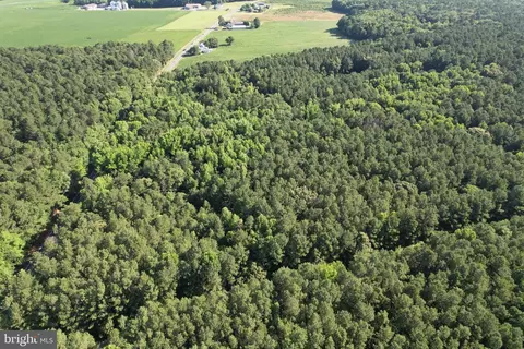 Hollyville Road, Harbeson, DE 19951