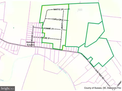 19939 Road 405, Dagsboro, DE 19939