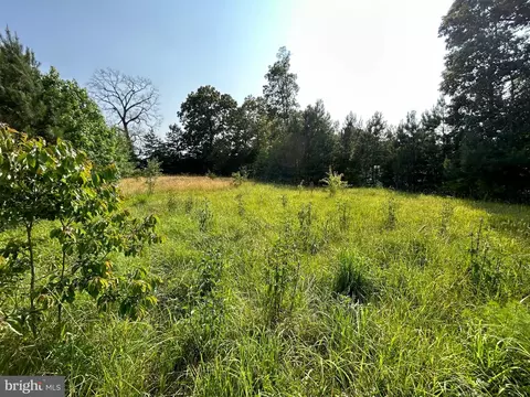 Forsythia Drive, Georgetown, DE 19947 photo 4