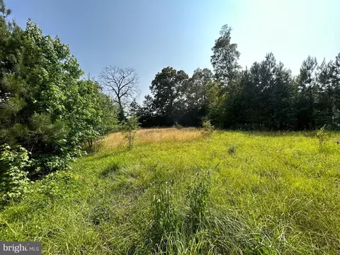 Forsythia Drive, Georgetown, DE 19947 photo 3