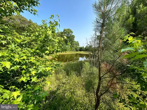 Forsythia Drive, Georgetown, DE 19947