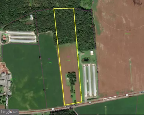 10815 Seashore Hwy, Bridgeville, DE 19933