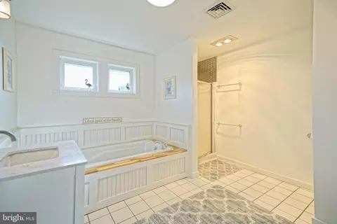 Bath - 145 Jefferson Ave, Lewes, DE 19958 photo 4 of 7