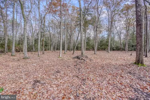 16349 Sam Lucas Rd, Milton, DE 19968 photo 9