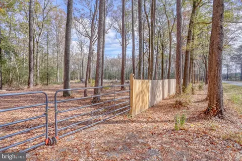 16349 Sam Lucas Rd, Milton, DE 19968 photo 3