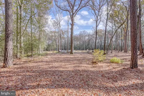16349 Sam Lucas Rd, Milton, DE 19968 photo 4