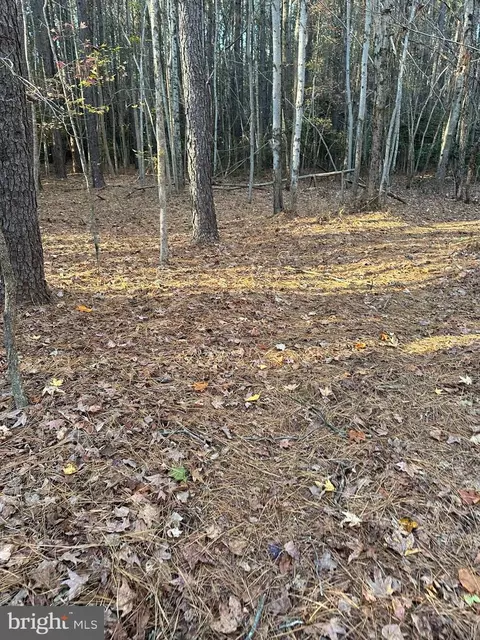 lot3 Shiloh Church Rd, Laurel, DE 19956