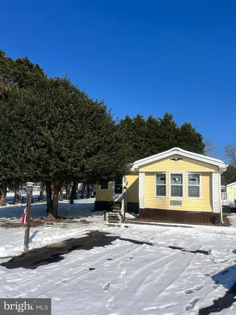 34275 Maple Leaf Dr S #20789, Millsboro, DE 19966