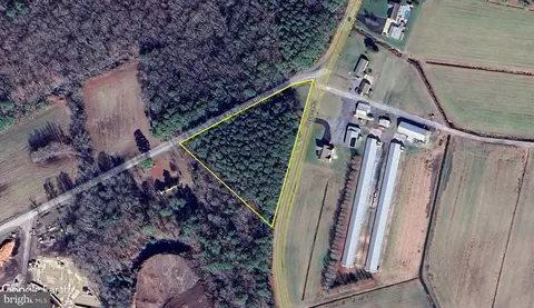 2 55 Acres Pepper Rd #LOT 2, Frankford, DE 19945