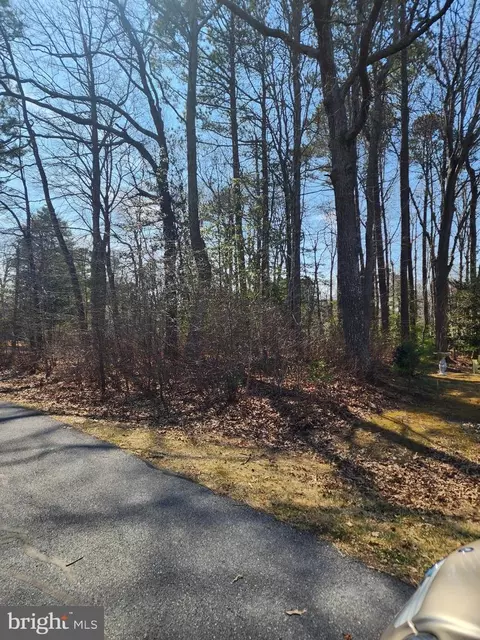 lot10 Alabama Dr, Frankford, DE 19945