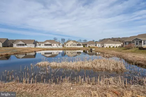 Other - 18848 Riverwalk Dr, Milton, DE 19968 photo 22 of 23