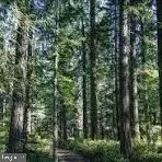 12 Us 9, Georgetown, DE 19947