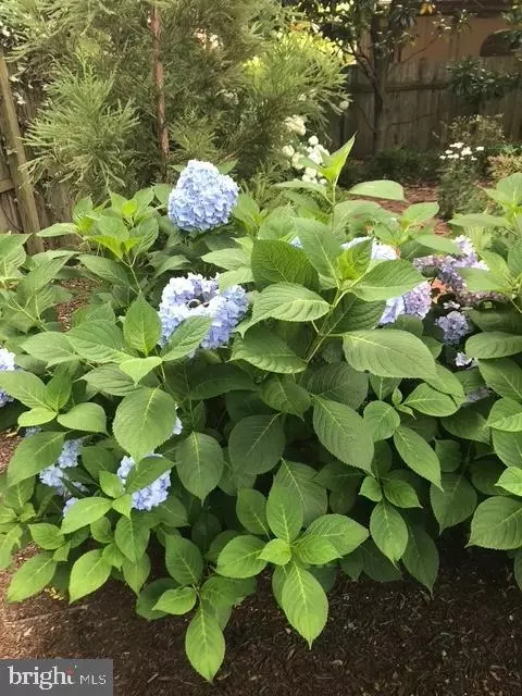 Other - 228 2nd St, Lewes, DE 19958 photo 8 of 8