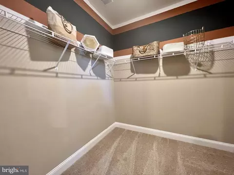 34079 Skyflower Loop, Lewes, DE 19958 photo 36
