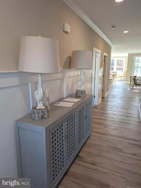 Entry Way - 22012 Antlered Way, Georgetown, DE 19947 photo 9 of 13