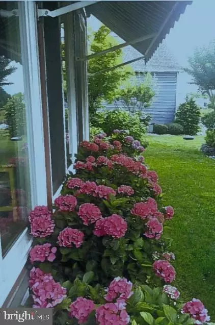 Other - 16807 Forest Dr, Lewes, DE 19958 photo 19 of 23