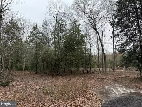 lot3 Trap Pond Rd, Laurel, DE 19956