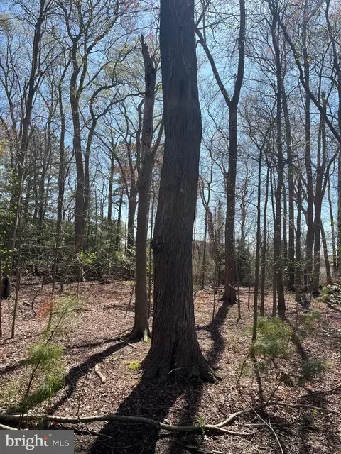 lot22 Pine Grove Ln, Ocean View, DE 19970