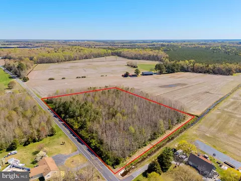 SEast Trap Pond Road, Georgetown, DE 19947
