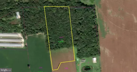 Residual Lot Seashore Highway, Bridgeville, DE 19933