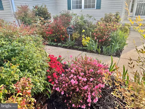 Exterior - 22378 Bay Ct, Lewes, DE 19958 photo 5 of 14