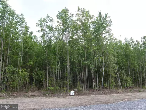 lot C - 133-900-918 Easement Off Of Shortly Rd, Georgetown, DE 19947