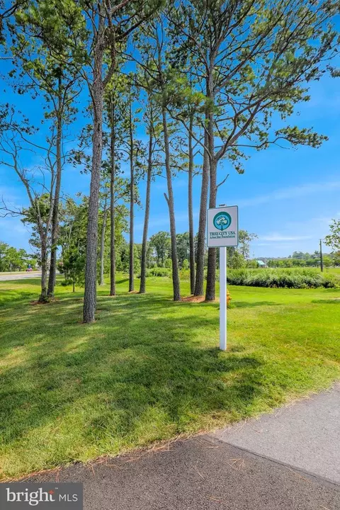 View/Area - 39668 Hamptons Ln, Bethany Beach, DE 19930 photo 11 of 11