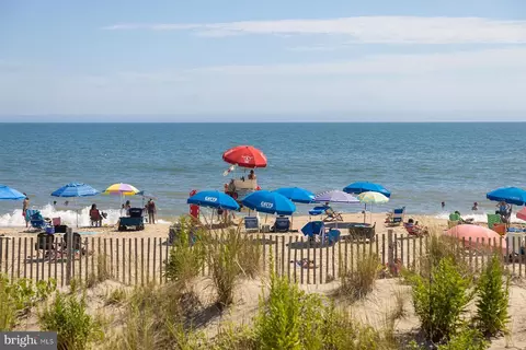 View/Area - 24 Hannah Loop, Rehoboth Beach, DE 19971 photo 11 of 17