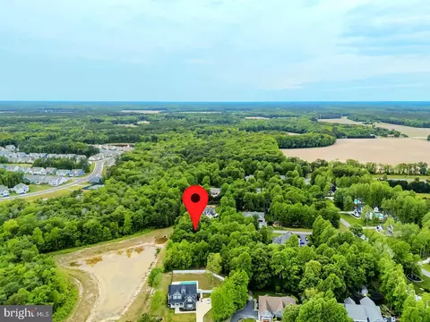 21883 Spring Forest Way, Milton, DE 19968 photo 15