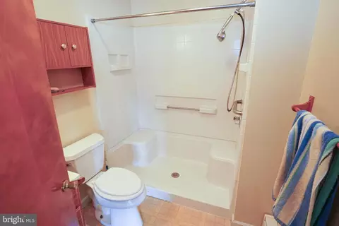 407 Elizabeth St, Georgetown, DE 19947 photo 25
