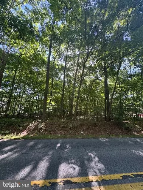 0 Rt 321, Georgetown, DE 19947 photo 2