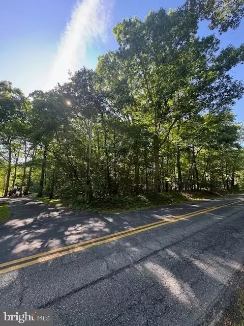 0 Rt 321, Georgetown, DE 19947 photo 3
