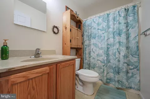Bath - 24519 Cedar Ln, Georgetown, DE 19947 photo 1 of 1