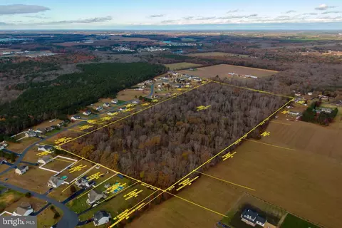 48 Acres Morris Mill Rd W, Millsboro, DE 19966