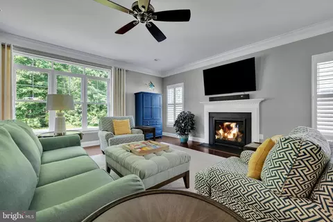 Living - 18131 Emerson Way, Georgetown, DE 19947 photo 1 of 3