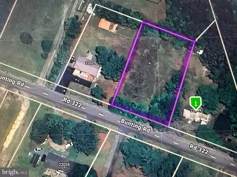 Bunting Rd, Georgetown, DE 19947 photo 4