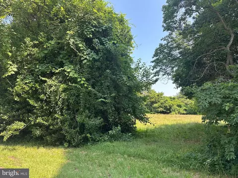Bunting Rd, Georgetown, DE 19947 photo 7
