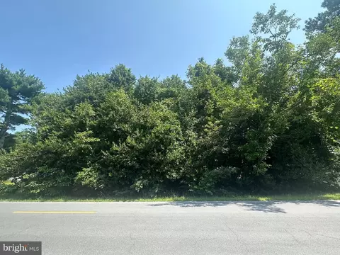 Bunting Rd, Georgetown, DE 19947 photo 3