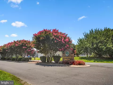View/Area - 16869 Randor Dr, Milton, DE 19968 photo 2 of 12