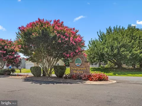 View/Area - 16869 Randor Dr, Milton, DE 19968 photo 1 of 12