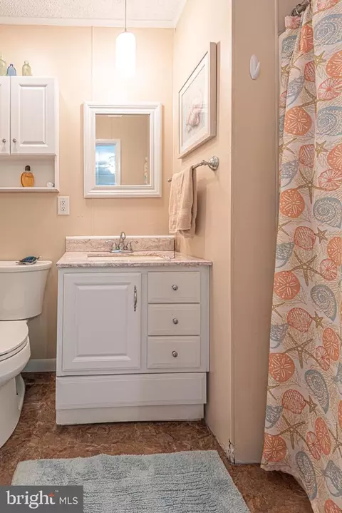 31828 Mill Run Dr, Ocean View, DE 19970 photo 26