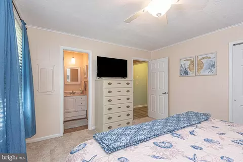31828 Mill Run Dr, Ocean View, DE 19970 photo 24