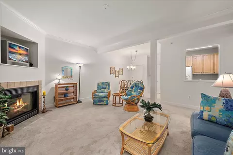 Living - 30611 Cedar Neck Rd #2107, Ocean View, DE 19970 photo 7 of 7