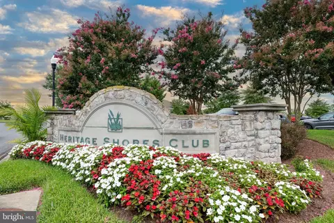 Other - 8 Harlequin Loop, Bridgeville, DE 19933 photo 1 of 30