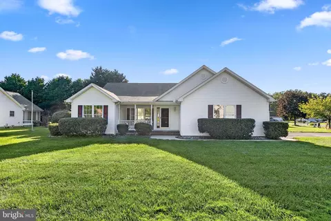 113 Ocean Farm Dr, Frankford, DE 19945
