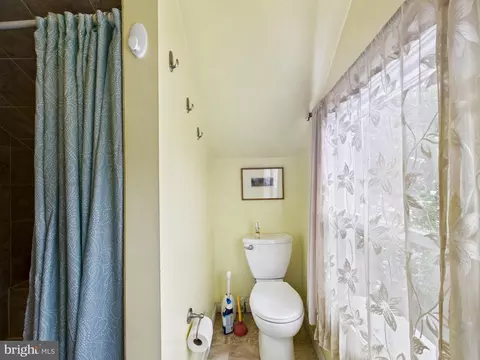 Bath - 115 Chestnut St, Milton, DE 19968 photo 5 of 6
