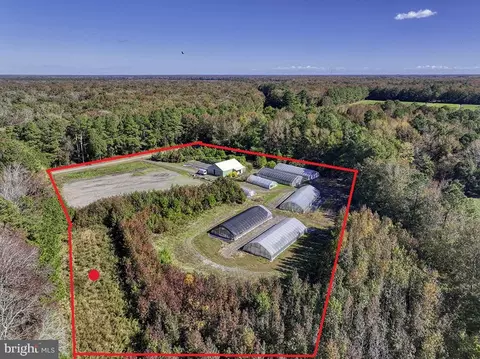30402 Jay Patch Rd, Selbyville, DE 19975