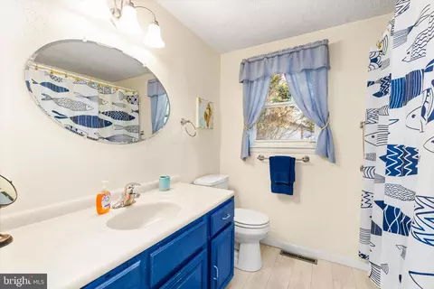 Bath - 36466 Old Mill Rd, Ocean View, DE 19970 photo 4 of 4