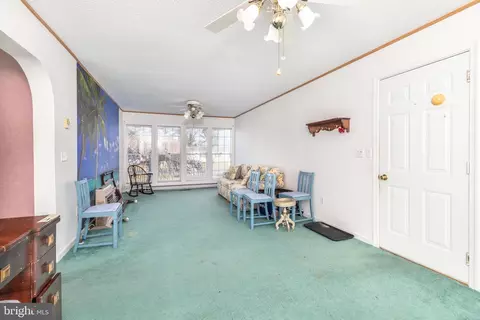 22 E Greenwing Dr, Milton, DE 19968 photo 20